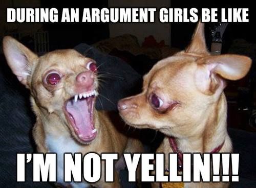 Argument Girls I'm Not Yelling