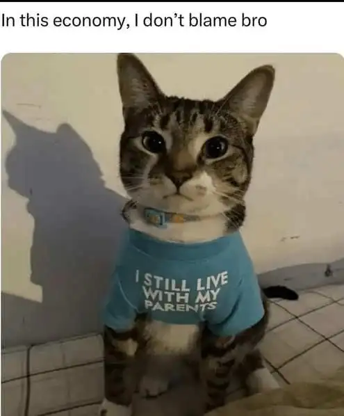 Cat Lives With Parents Due to Economy