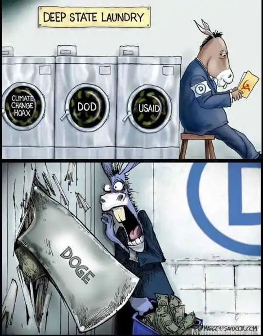 Democrat Deepstate Meets DOGE