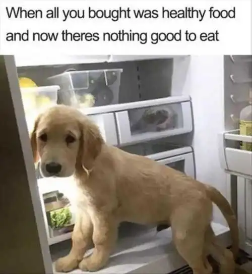Dog Only Healthy Food