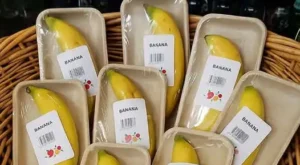 Defining Human Stupidity In One Image