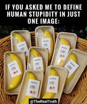 Defining Human Stupidity In One Image