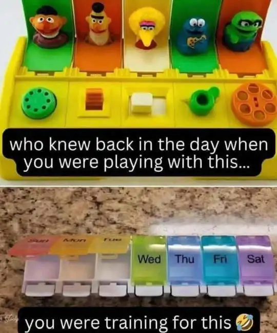 Playing With Toys Was Training For Age