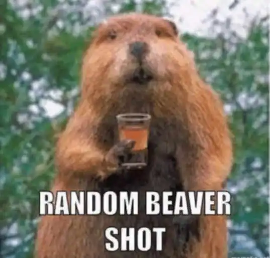 Random Beaver Shot