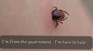 Blood Sucking Government