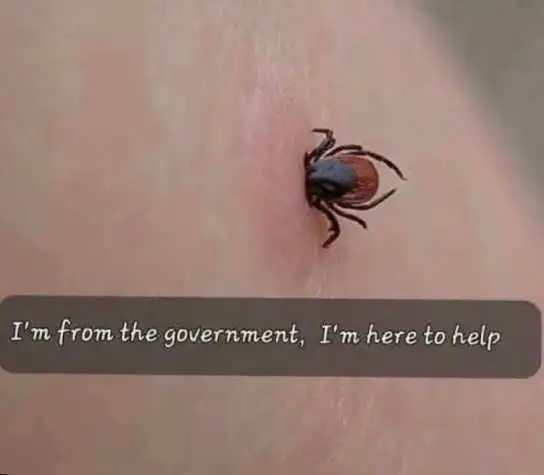 Blood Sucking Government